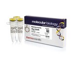 MspI (HpaII) (10 U/&mu;L)