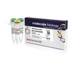 Bsh1285I (BsiEI) (10 U/&mu;L)