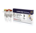 Acc65I (Asp718I) (10 U/&mu;L)