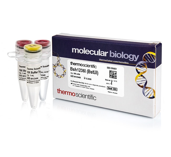 Bsh1236I (BstUI) (10 U/&mu;L)