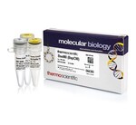 BseMII (BspCNI) (1 U/&mu;L)