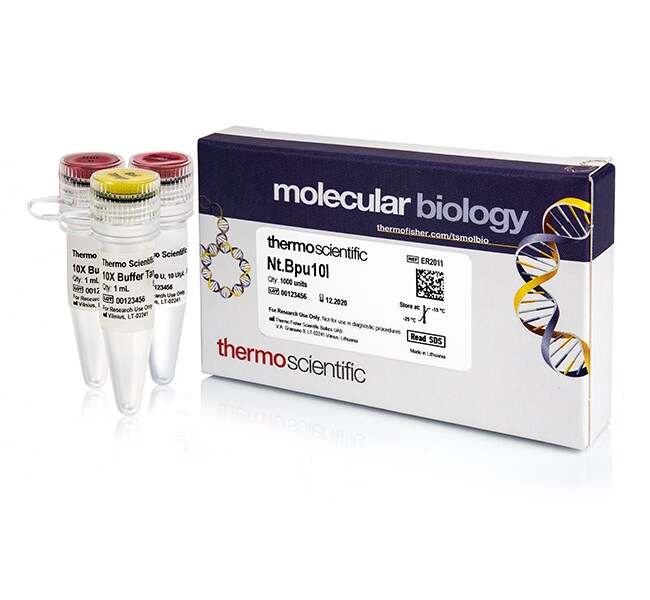 Nt.Bpu10I (5 U/&mu;L)