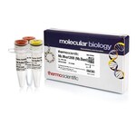 Nb.Mva1269I (10 U/&mu;L)