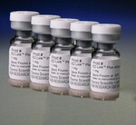 EZ-Link&trade; Plus Activated Peroxidase