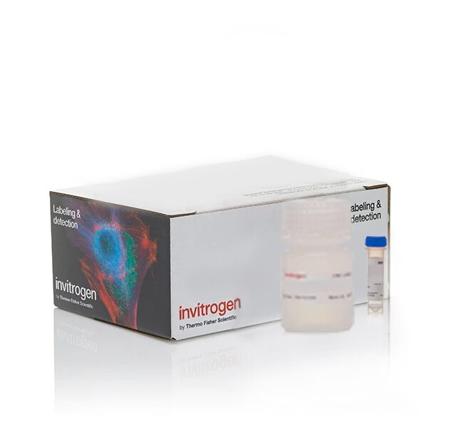 FluoReporter&trade; 蓝色荧光测定 dsDNA 定量试剂盒，200-2,000 次测定