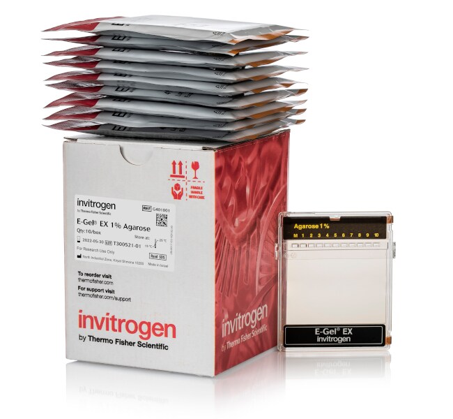E-Gel™ EX Agarose Gels