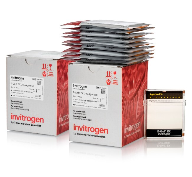 E-Gel&trade; EX 琼脂糖凝胶