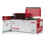 E-Gel&trade; 96 琼脂糖凝胶，内含 SYBR&trade; Safe DNA 凝胶染色剂，1%