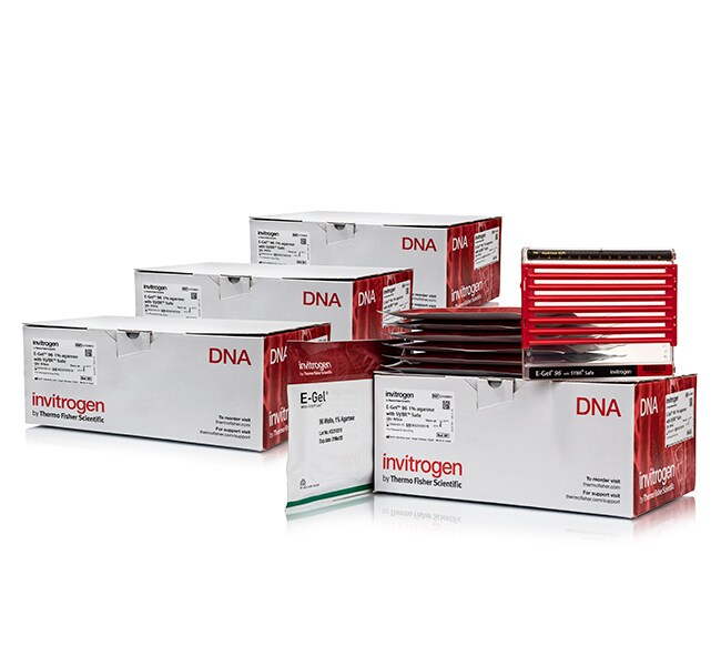 E-Gel&trade; 96 Agarose Gels