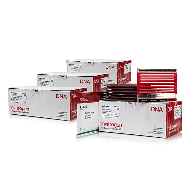 E-Gel&trade; 96 琼脂糖凝胶，内含 SYBR&trade; Safe DNA 凝胶染色剂，1%