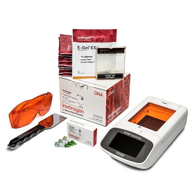 E-Gel&trade; Power Snap 电泳仪入门试剂盒，EX 1%