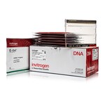 E-Gel&trade; 48 琼脂糖凝胶，内含 SYBR&trade; Safe DNA 凝胶染色剂，4%