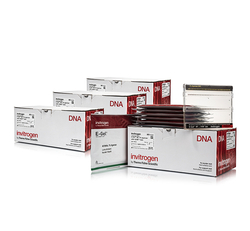 E-Gel™ 48 Agarose Gels