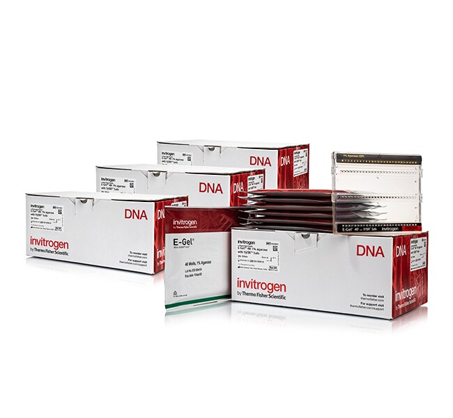 E-Gel&trade; 48 琼脂糖凝胶，内含 SYBR&trade; Safe DNA 凝胶染色剂，4%