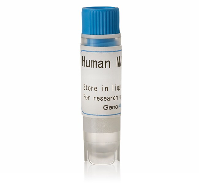 Human OCT1 (G) SLC Transporter Cells
