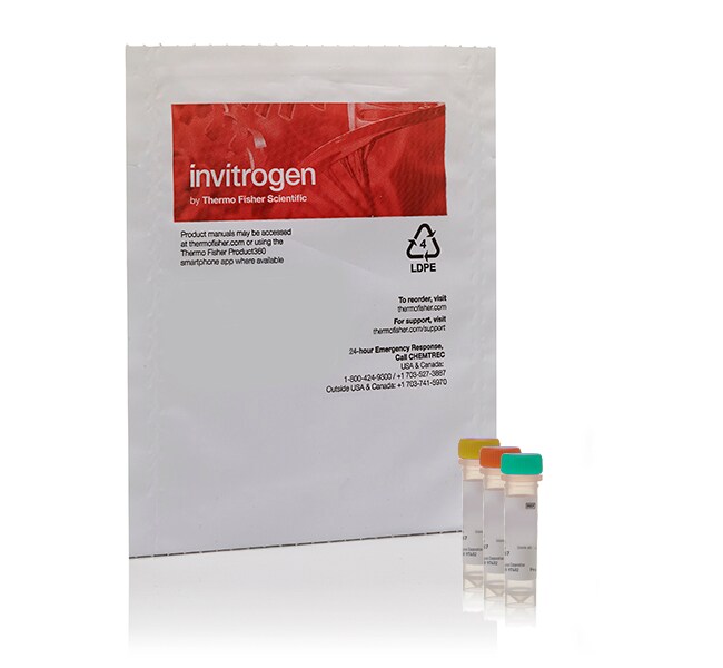 HCS LIVE/DEAD™ Green Kit