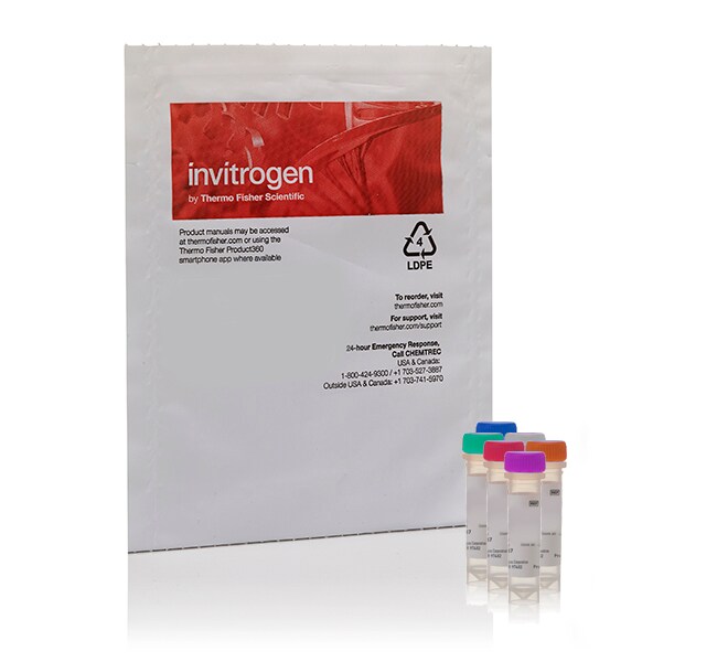 HCS LipidTOX&trade; 磷脂质病和脂肪变性检测试剂盒，可用于高内涵筛选，并可用于细胞成像