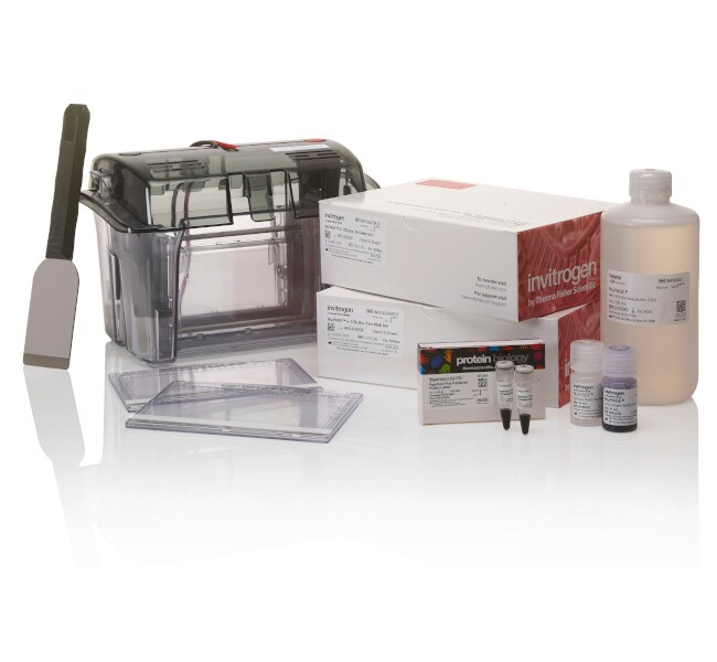 NuPAGE™ 中型 BisTris 迎新套装，412