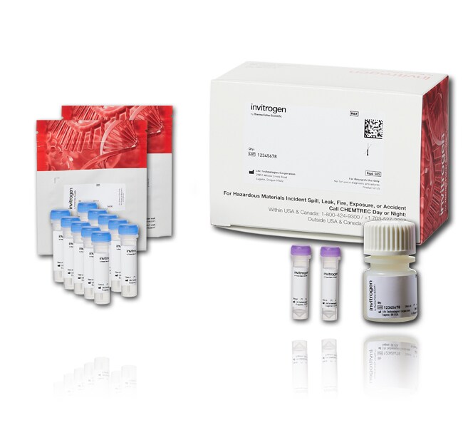 ARES&trade; Alexa Fluor&trade; 488 DNA Labeling Kit