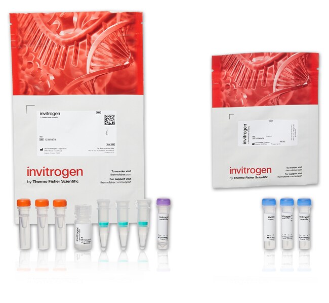 Alexa Fluor&trade; 594 微量蛋白标记试剂盒