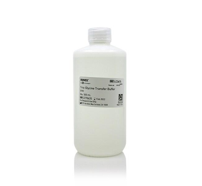 Tris-Glycine Transfer Buffer (25X)