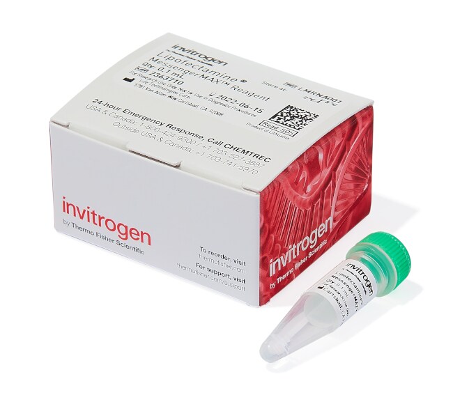 Lipofectamine&trade; MessengerMAX&trade; 转染试剂