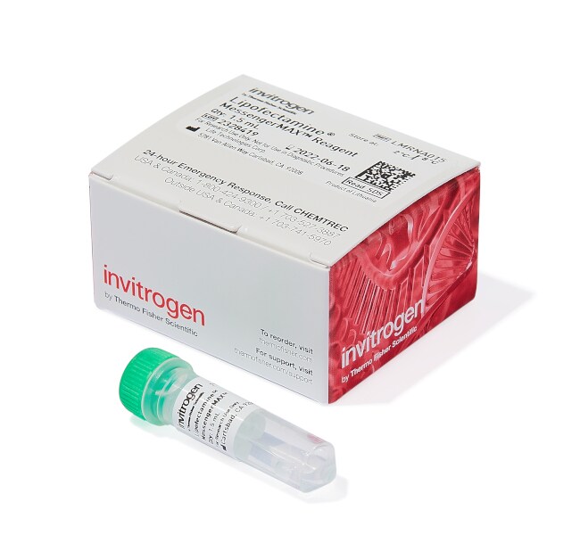 Lipofectamine&trade; MessengerMAX&trade; 转染试剂