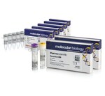 RevertAid&trade; Master Mix, with DNase I