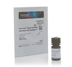 ProLong&trade; Glass Antifade Mountant with NucBlue&trade; Stain