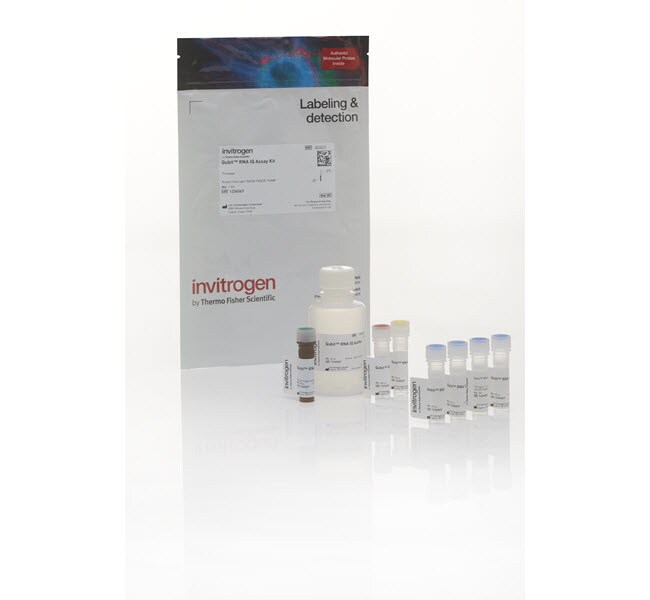 Qubit&trade; RNA IQ Assay Kits