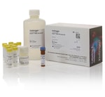 Qubit&trade; RNA High Sensitivity (HS), Broad Range (BR), and Extended Range (XR) Assay Kits