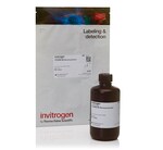 Qubit&trade; 1X dsDNA 高灵敏度 (HS) 和宽范围 (BR) 定量试剂盒