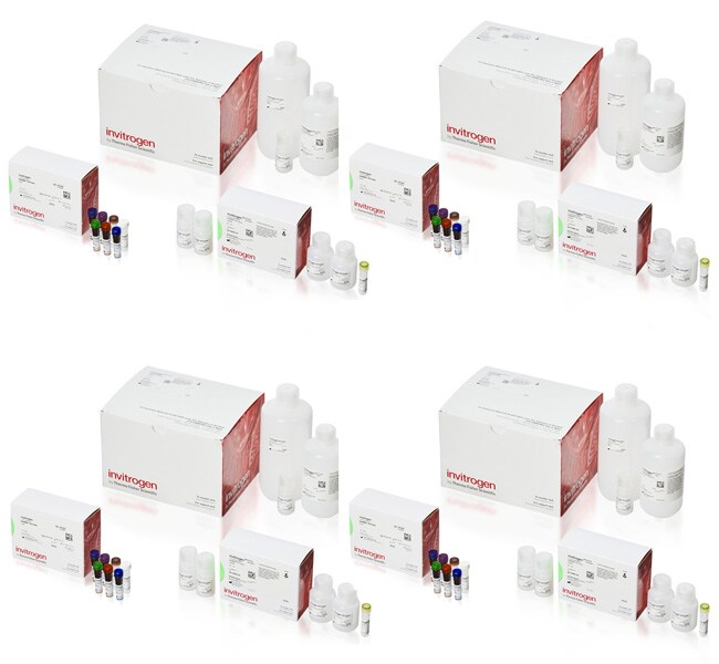 ViewRNA Tissue Assay Fluorescence Kits