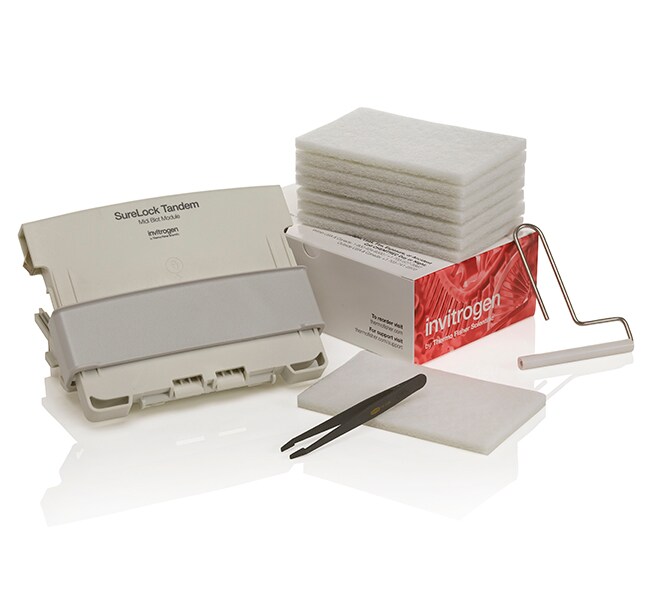 SureLock&trade; Tandem Midi Blot Module