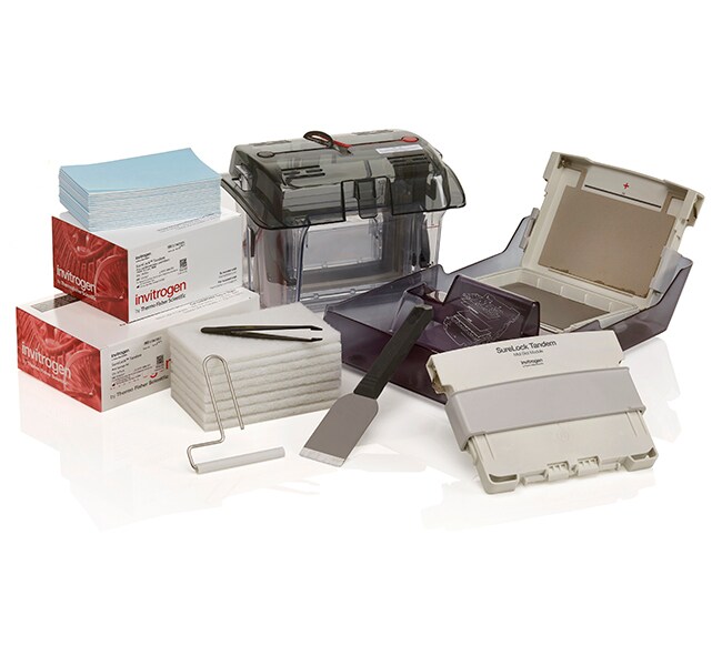 SureLock&trade; Tandem Midi Welcome Pack, nitrocellulose