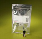 MS(PEG)12 甲基-PEG-NHS-酯试剂