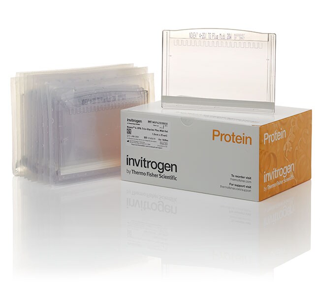 Novex&trade; Tris-Glycine Plus Midi Protein Gels, 4 to 12%, 1.0 mm