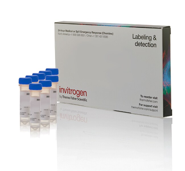 Dimeric Cyanine Nucleic Acid Stains