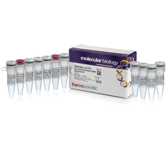 RevertAid First Strand cDNA Synthesis Kit