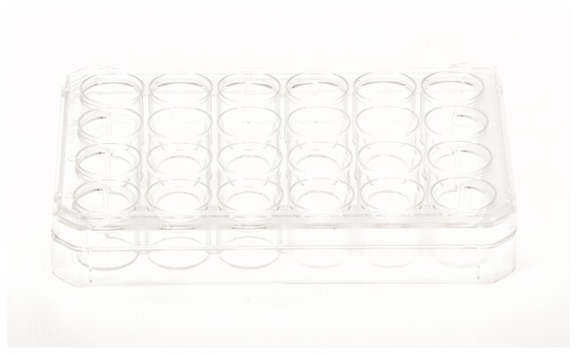 Nunc&trade; 多孔培养皿，带 UpCell&trade; 表面