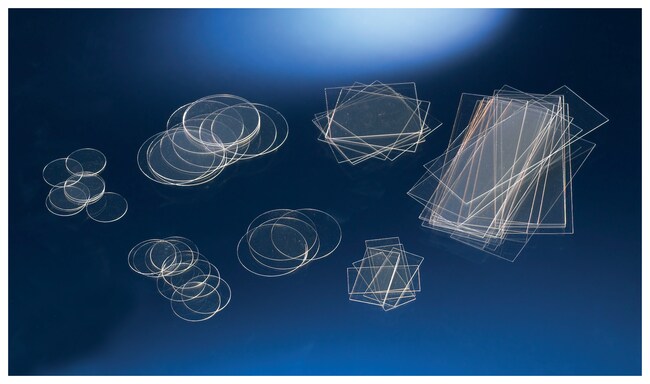 Nunc™ Thermanox™ Coverslips