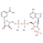 beta-Nicotinamide adenine dinucleotide phosphate disodium salt, 97%
