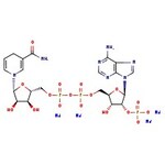 beta-Nicotinamide adenine dinucleotide phosphate reduced tetrasodium salt, 95%