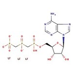 Adenosine-5'-diphosphate trilithium salt, 98%