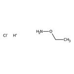 Ethoxyamine hydrochloride, 98%