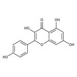 Kaempferol, 98+%, Thermo Scientific Chemicals