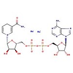 beta-Nicotinamide adenine dinucleotide reduced disodium salt, 97%
