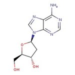 2'-Deoxyadenosine, 99%