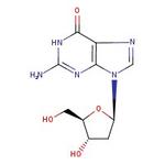 2'-Deoxyguanosine monohydrate, 98+%