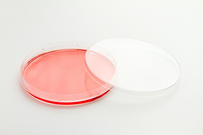 Nunc&trade; EasYDish&trade; 培养皿